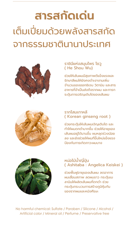 [NEW] PACK ABRACADABRA Anti-Hair Fall SHAMPOO & CONDITIONER แชมพูและครีมนวดฟื้นบำรุงลดผมร่วง ช่วยผมเกิดใหม่ +214%