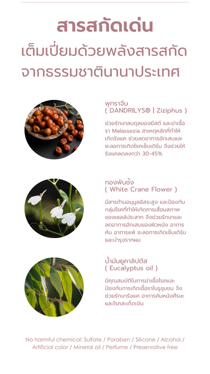 [NEW] PACK FLAKE FREE Anti-Dandruff SHAMPOO & CONDITIONER แชมพูและครีมนวดแก้รังแค เห็นผลลัพธ์รังแคลดลง 45%