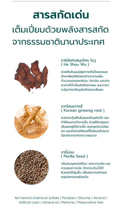 [NEW] RESTORE PACK shampoo & conditioner 250ml