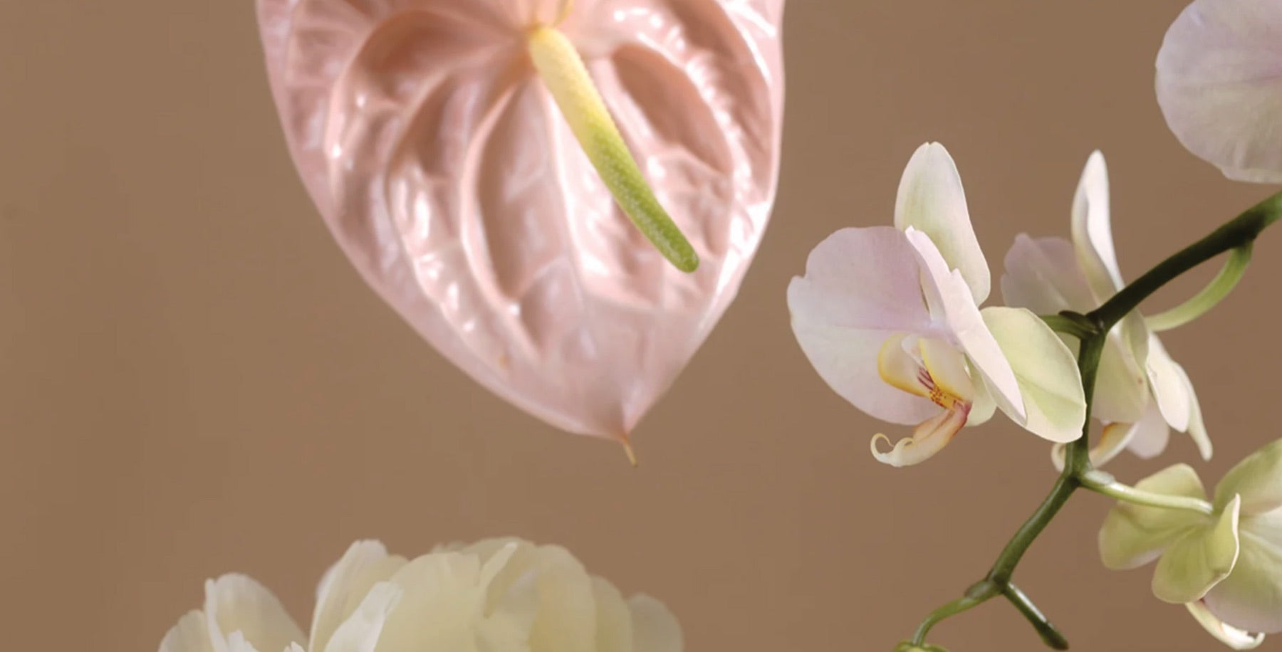Skin Syrup 100% Love Syrup - botanical herbs